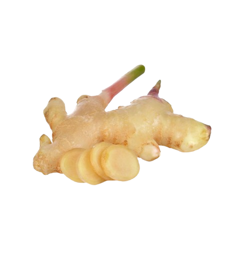 Halia Muda \ Young Ginger 1kg